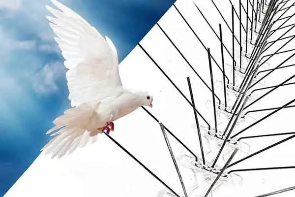 شركه تركيب شبك الحمام 