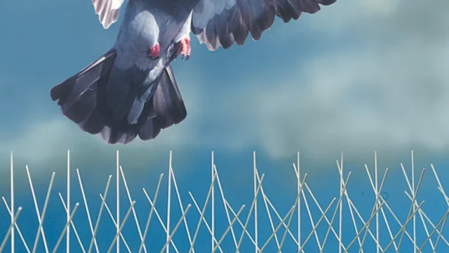 شركه تركيب شبك الحمام 